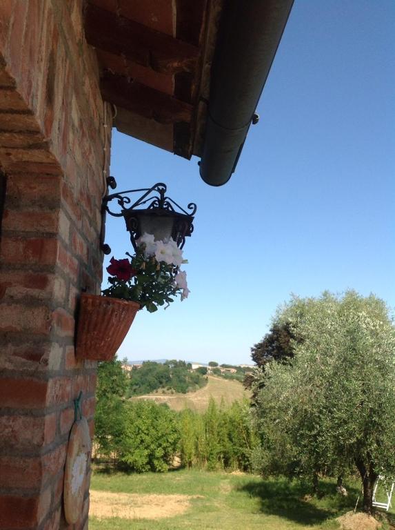 Agriturismo La Collina Siena Exterior photo